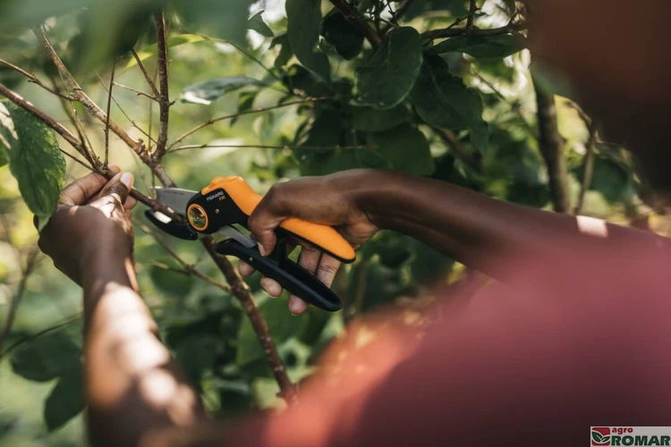 Sekator ręczny P741 Plus Fiskars przycinanie