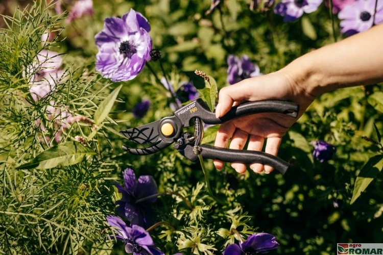 sekator-nozycowy-fiskars-p90-pro-w-uzyciu