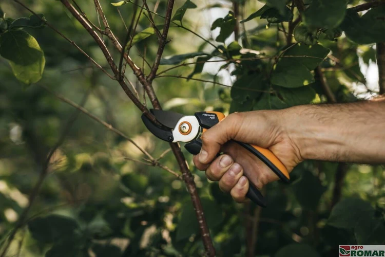 sekator-fiskars-p361-solid-w-uzyciu