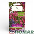 petunia-ogrodowa-zwisajaca-mieszanka-w-legutko-przod
