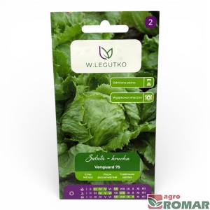 Sałata Vanguard lodowa 0,5g, W. Legutko