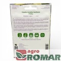 Nasiona fasoli karłowej zwykłej Polka 40 g W. Legutko2)