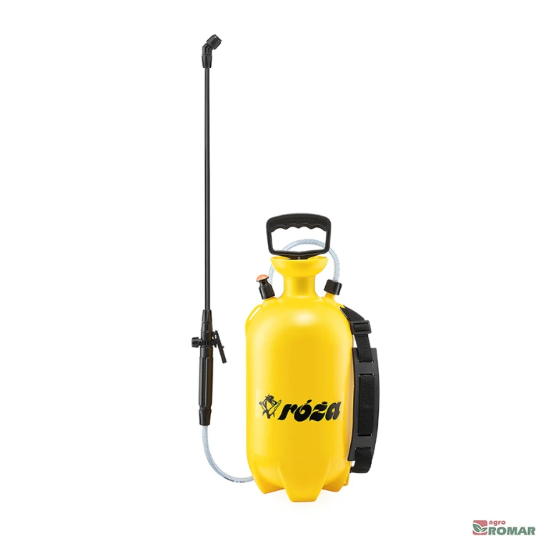 Róża 6L