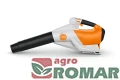 BGA 250 STIHL.jpg