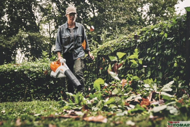 BGA 250 STIHL 4.jpg