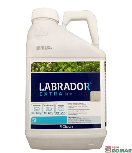 Labrador-5l.jpg