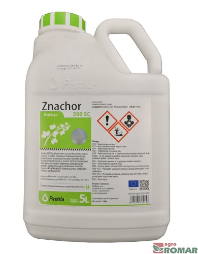 Znachor-5-l.jpg