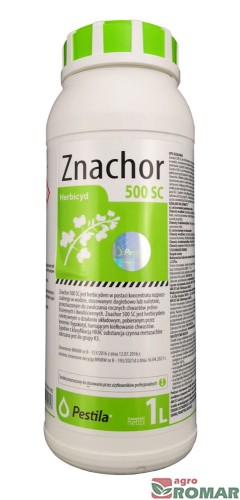 Znachor-1l.jpg