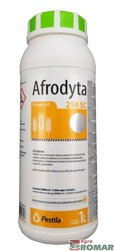 Afrodyta-1-l.jpg