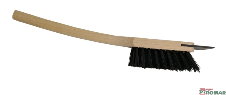 Zmiotka.jpg