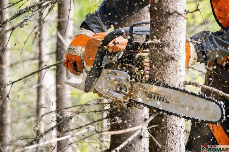 Okrzesywanie pilarką spalinową STIHL MS 261 C-M