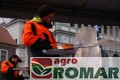 Rzeźbienie w lodzie pilarką elektryczną STIHL MSE 170 C-Q.