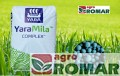 Yara Mila.jpg