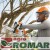 Praca najlżejszą pilarką spalinową STIHL MS 151 C-E