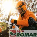 Praca specjalistyczną pilarką spalinową STIHL MS 151 TC-E z górnym uchwytem.