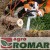 Specjalistyczna pilarka spalinowa STIHL MS 201 TC-M z górnym uchwytem oraz inteligentnym systemem zarządzania silnikiem M-Tronic.