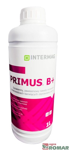 Primus-B+-1-l.jpg