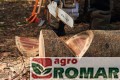 94045_making_firewood_HQ_P_2022-03_0014_Global.jpg