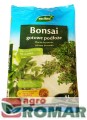 Bonsai.jpg