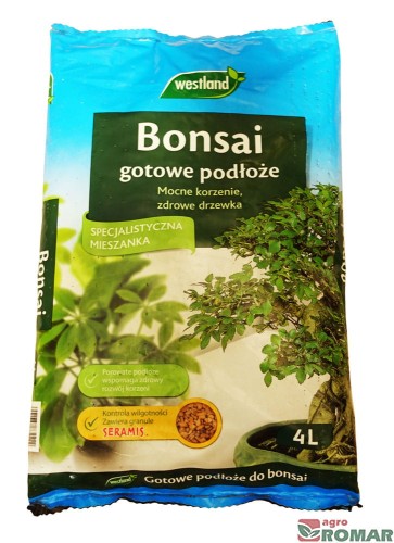 Bonsai.jpg