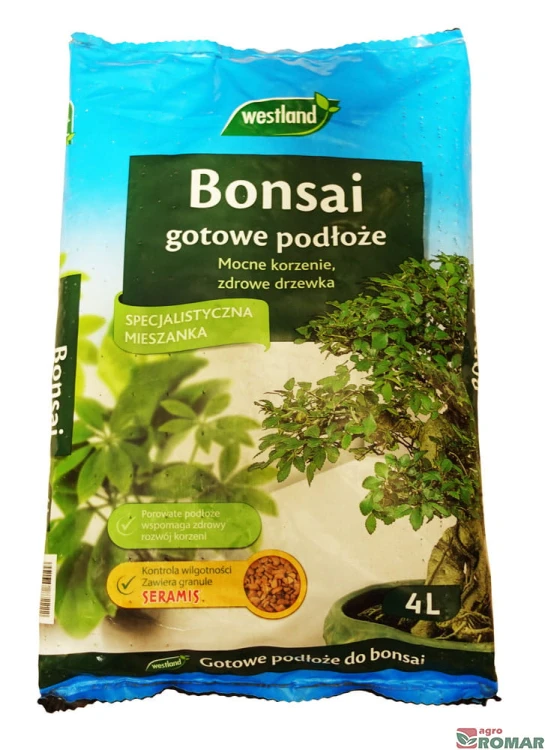 Bonsai.jpg