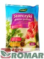 Storczyki-4-l.jpg