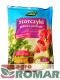 Storczyki-4-l.jpg