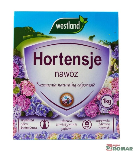 hortensje.jpg