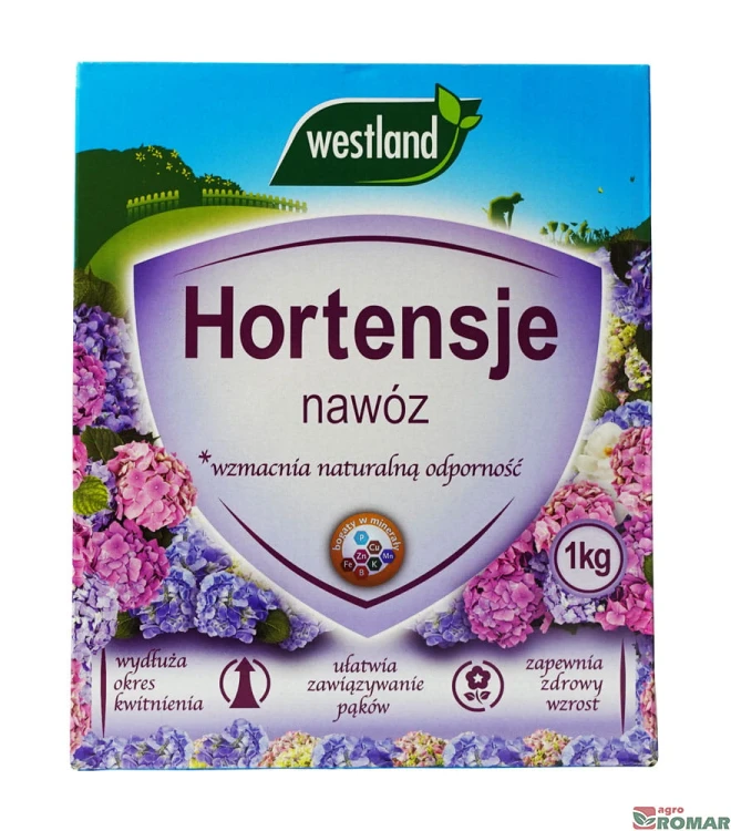 hortensje.jpg