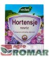 hortensje.jpg