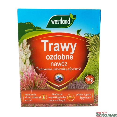 Trawy-ozdobne.jpg