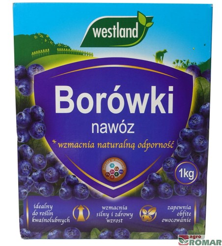 Nawóz-do-borówek.jpg