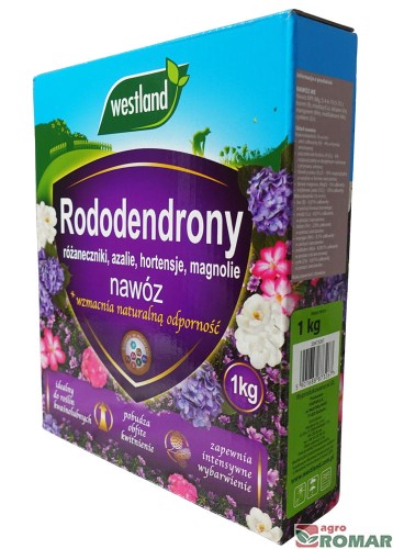 Rododendrony-bok.jpg