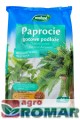Paprocie.jpg