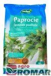 Podłoże do paproci 4L Westland