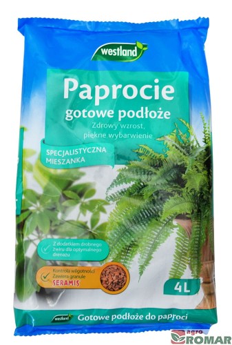Paprocie.jpg