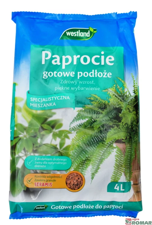 Paprocie.jpg