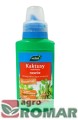 Kaktusy-i-sukulenty.jpg