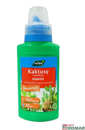 Kaktusy-i-sukulenty.jpg