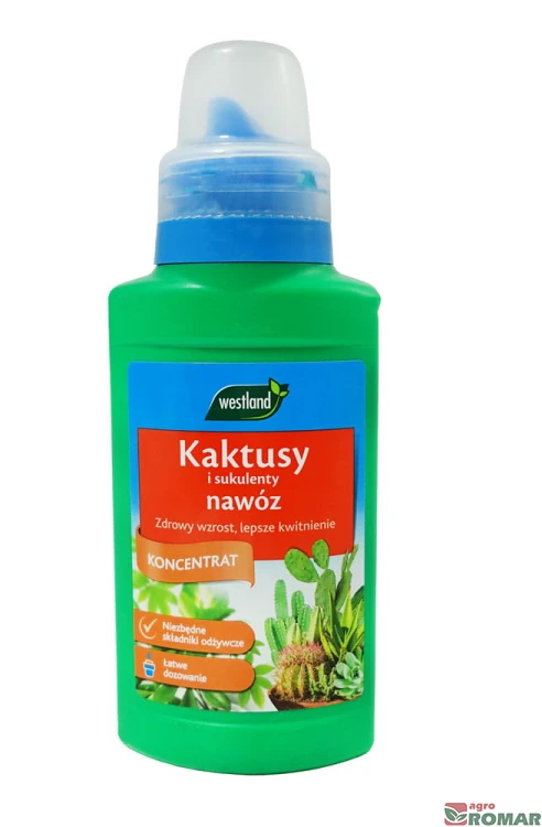 Kaktusy-i-sukulenty.jpg