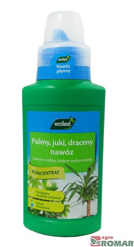 Palmy-juki-draceny-nawóz.jpg