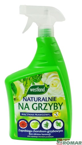 Naturalnie-na-grzyby.jpg