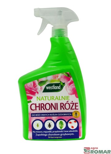 Spray-chroni-róże.jpg