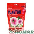 Planton-S.jpg