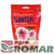 Planton-S.jpg