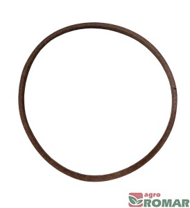 Pasek klinowy MTD {4011-M6-0110}