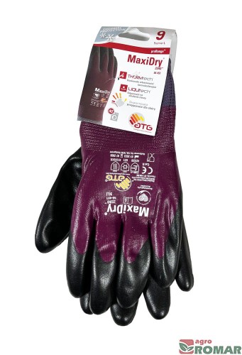 Maxi-Dry-9.jpg