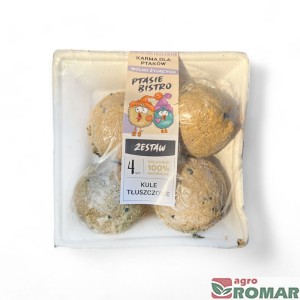 Zestaw 4 kul tłuszczowych Ptasie Bistro (360 g)