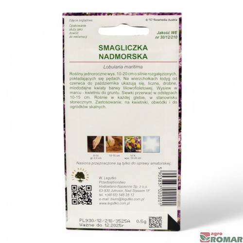 Smagliczka nadmorska(2).jpg