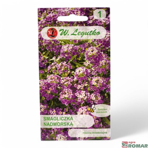 Smagliczka nadmorska.jpg